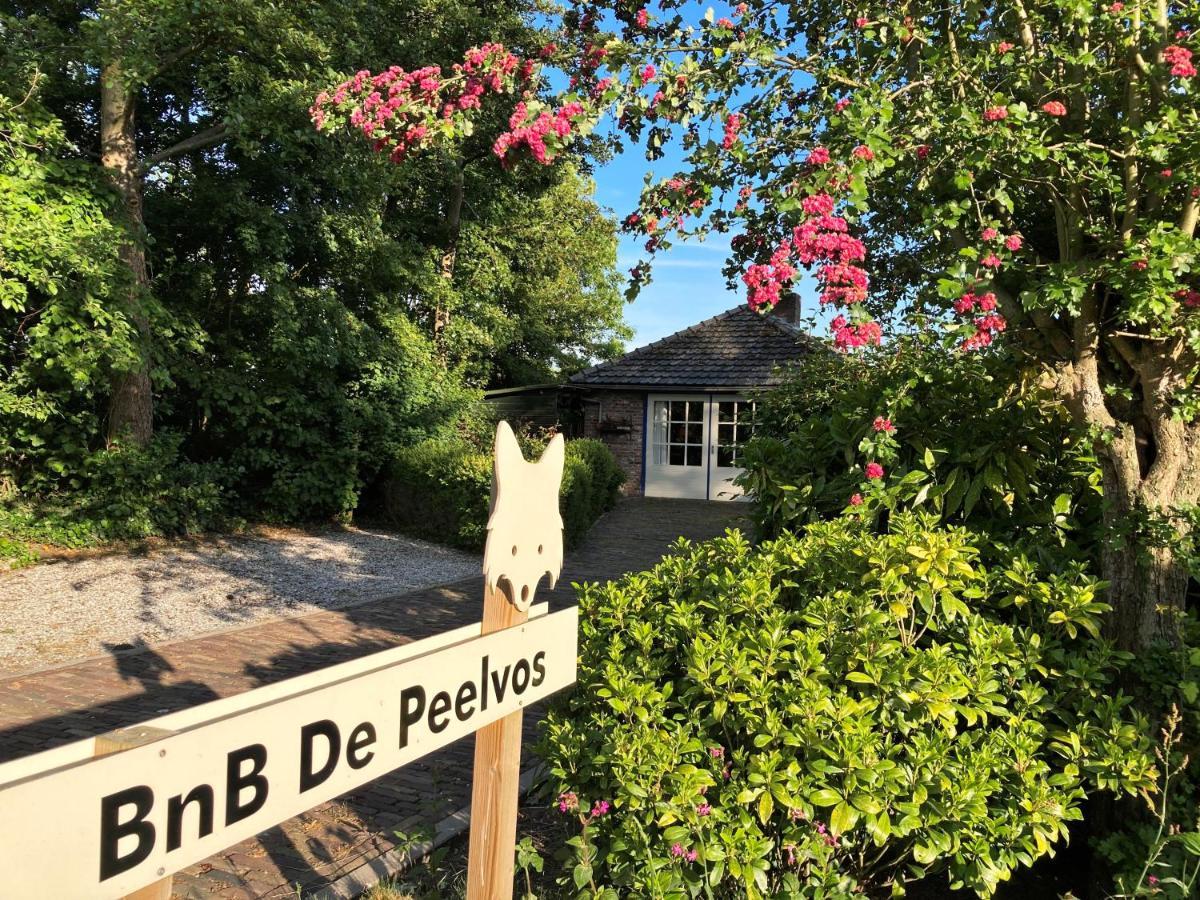 Bnb De Peelvos Deurne Εξωτερικό φωτογραφία